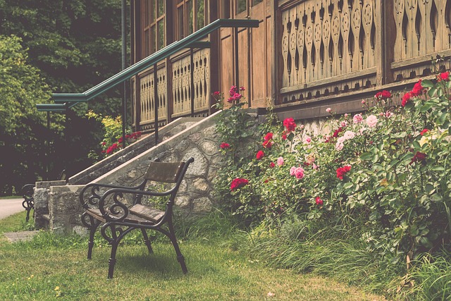 德甲-凯恩传射萨内双响 拜仁4-0不来梅迎开门红.